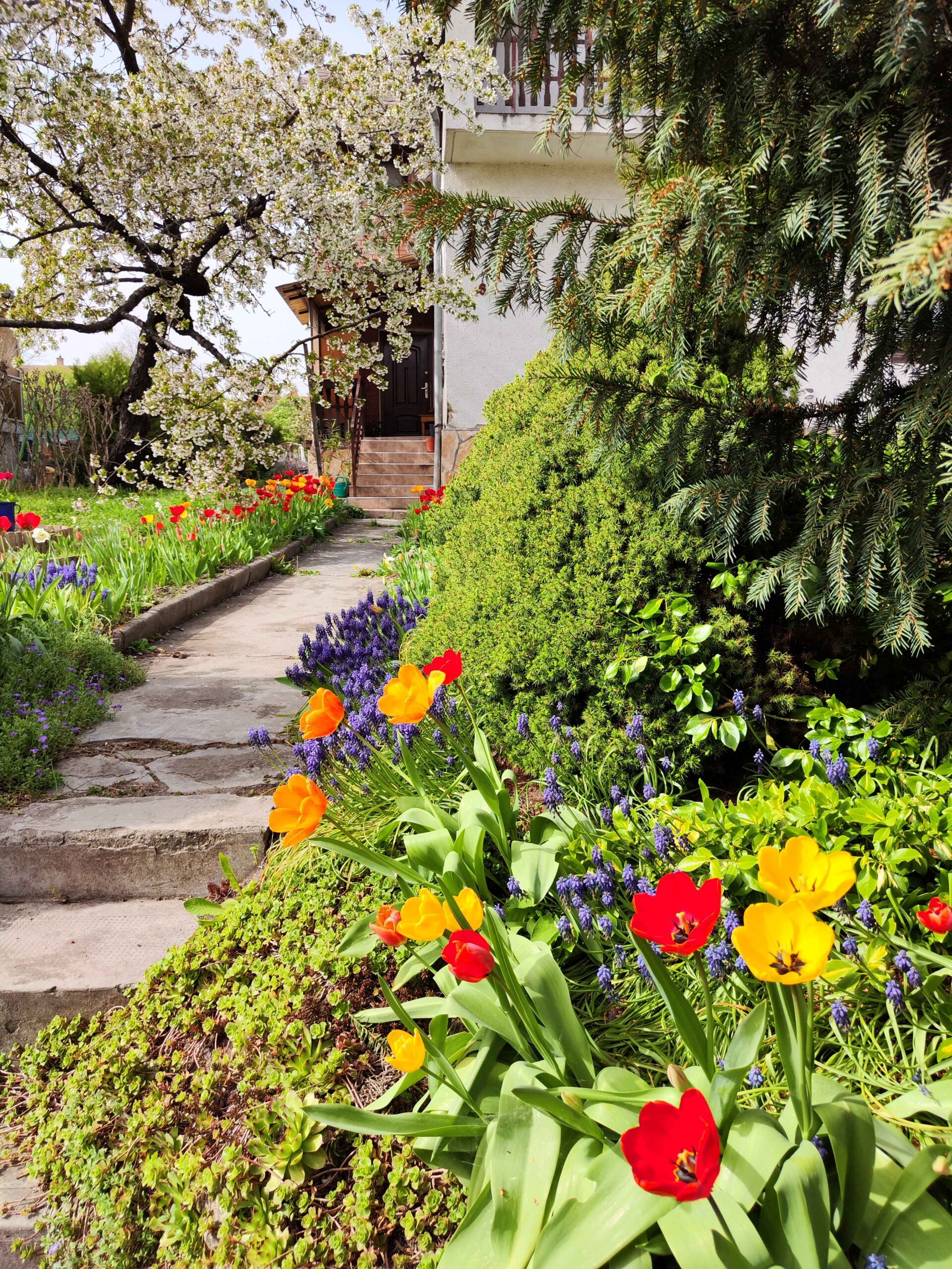 Éva Apartman Budapest